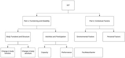 Social and environmental determinants of health among children with long-term movement impairment